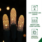 2.5 ft. 100-Light LED Warm White Snowflake Novelty Light