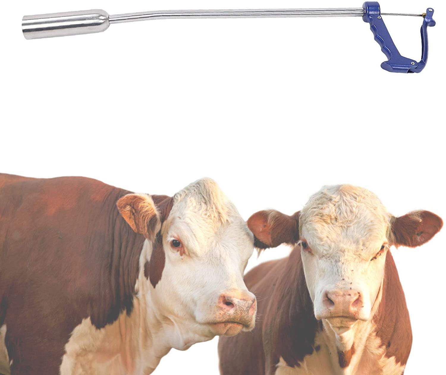 evtscan balling tool, livestock stainless steel balling tool pills propellant for cow cattle veterinary accessory