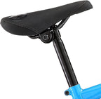 Redline Bikes Rival 20 Freestyle BMX
