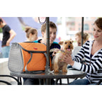 Argo by Teafco Pet Avion Airline Approved Pet Carrier, Tango Orange, Medium