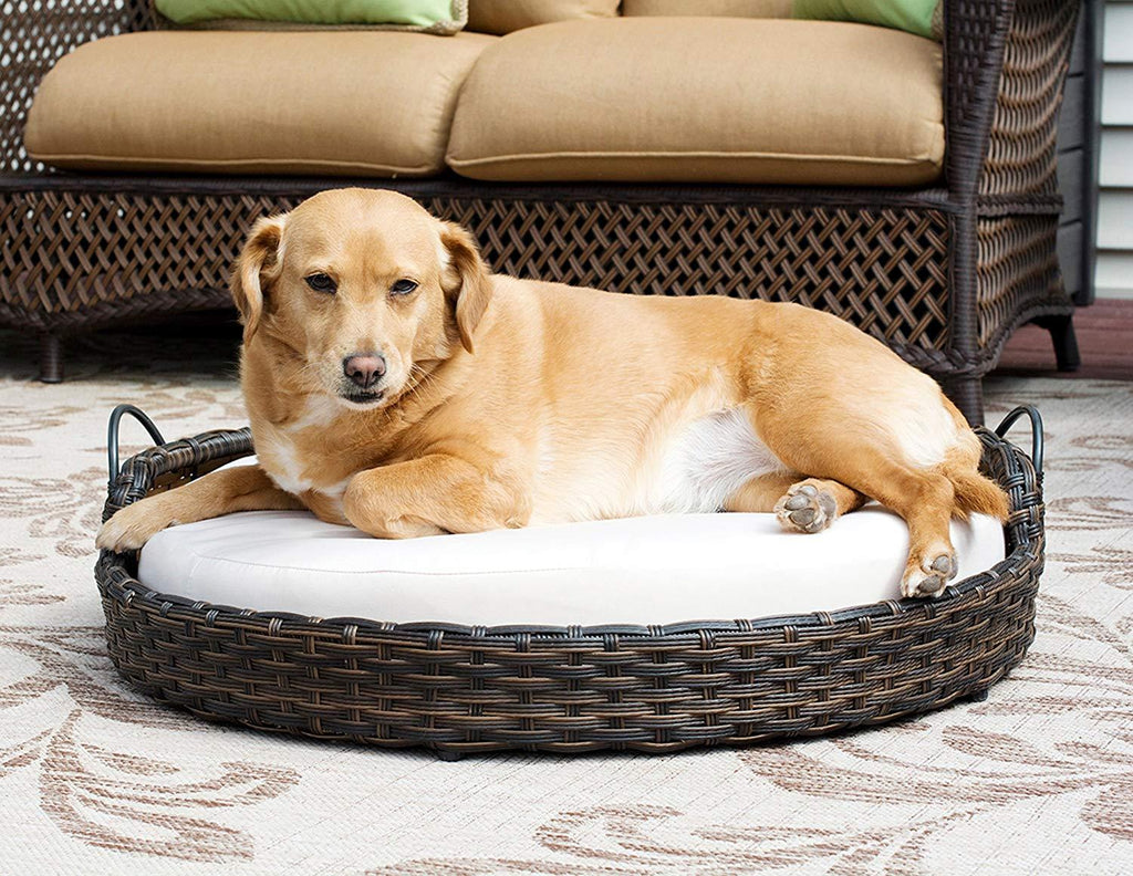 Iconic Pet Rattan / Wicker Round Pet Bed with Handles in Varying Sizes, Dog /Cat Bed made of Woven, Pliable Rattan, Metal Frame Chaise, Indoor / Outdoor LounFurniture, Water Resistant Cushion Cover