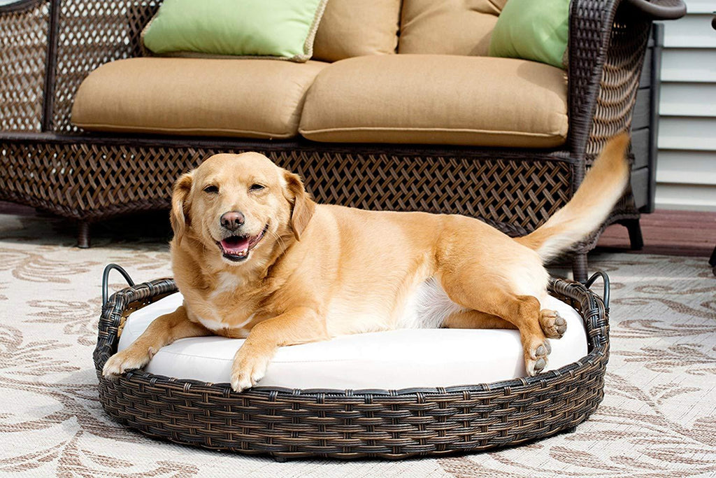Iconic Pet Rattan / Wicker Round Pet Bed with Handles in Varying Sizes, Dog /Cat Bed made of Woven, Pliable Rattan, Metal Frame Chaise, Indoor / Outdoor LounFurniture, Water Resistant Cushion Cover