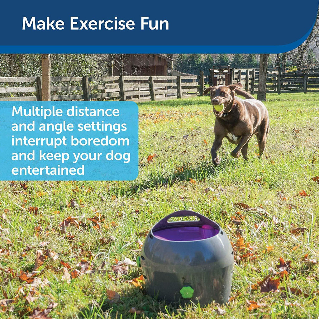 PetSafe Automatic Ball Launcher Dog Toy, Tennis Ball Throwing Machine for Dogs in Easy-Open Packaging