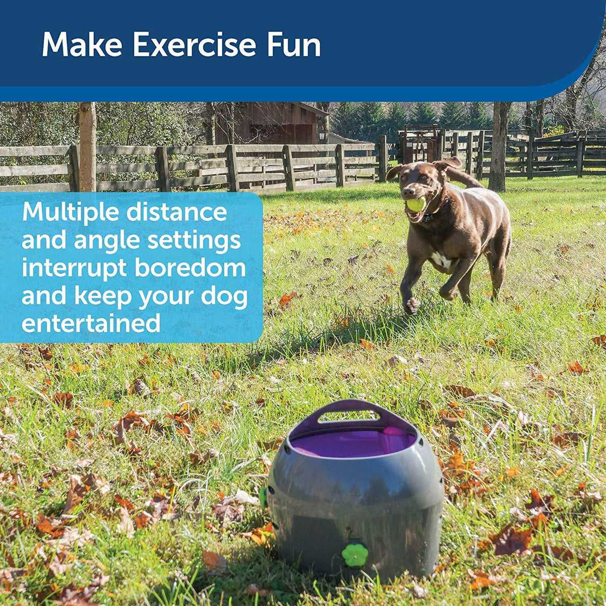 PetSafe Automatic Ball Launcher Dog Toy, Tennis Ball Throwing Machine for Dogs in Easy-Open Packaging
