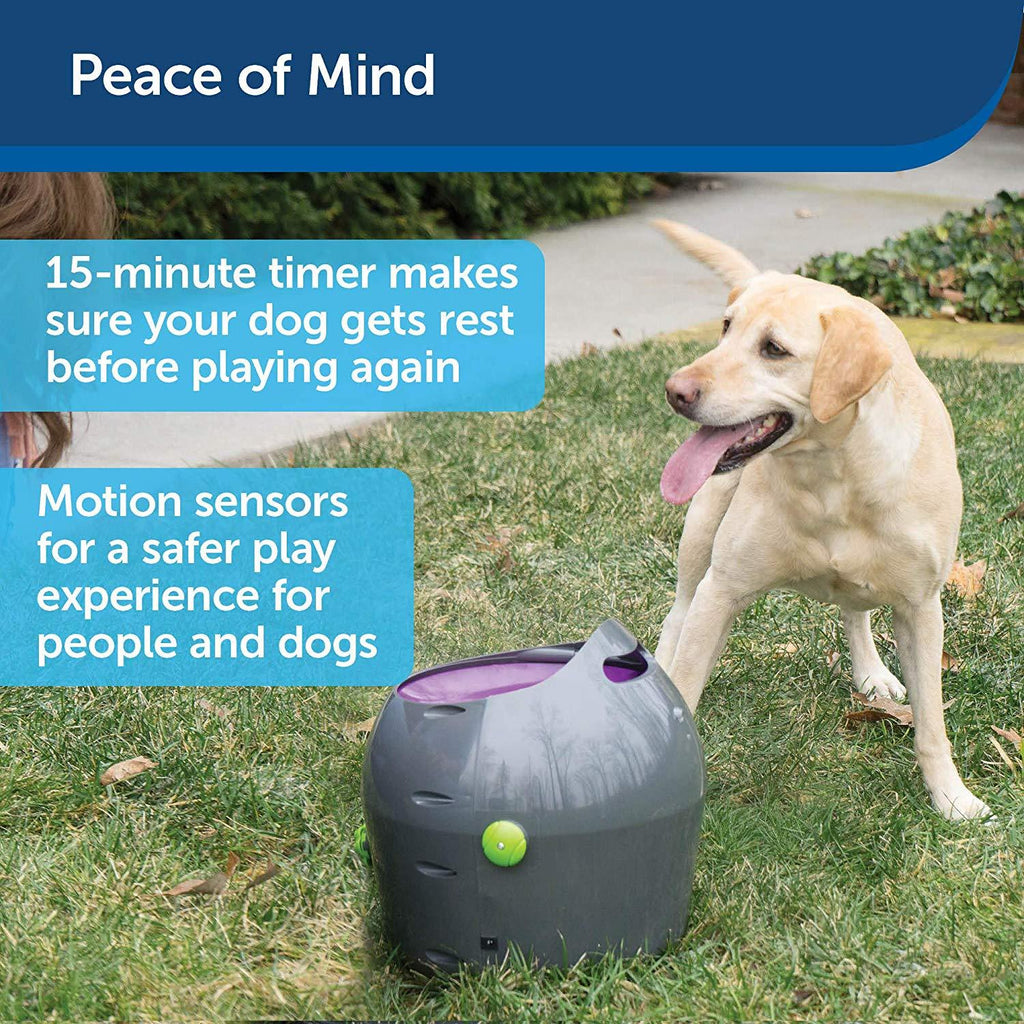 PetSafe Automatic Ball Launcher Dog Toy, Tennis Ball Throwing Machine for Dogs in Easy-Open Packaging