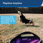 PetSafe Automatic Ball Launcher Dog Toy, Tennis Ball Throwing Machine for Dogs in Easy-Open Packaging