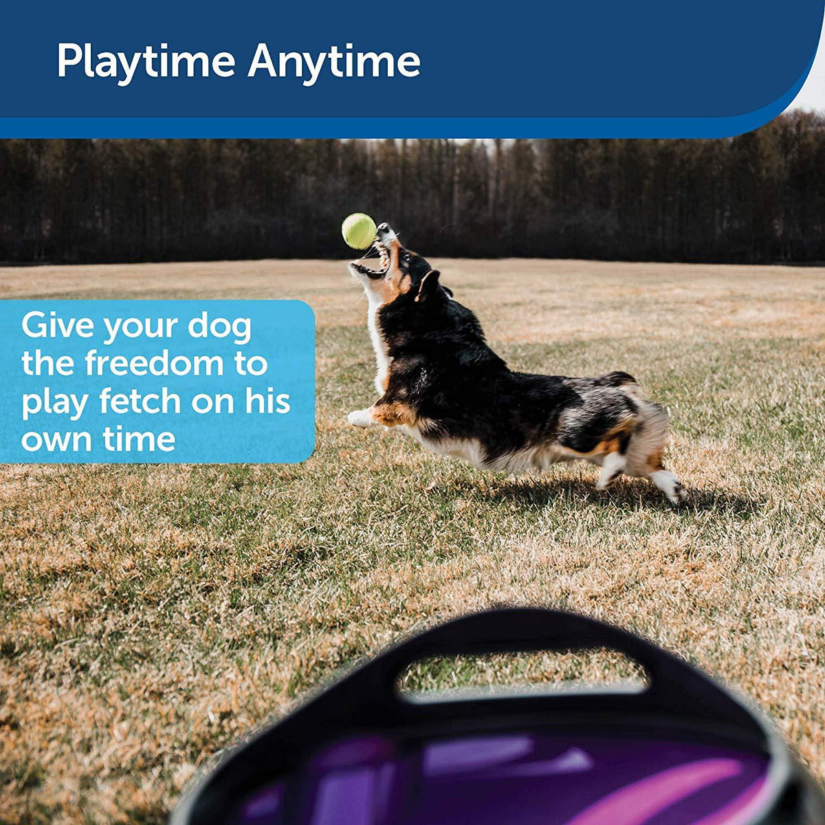 PetSafe Automatic Ball Launcher Dog Toy, Tennis Ball Throwing Machine for Dogs in Easy-Open Packaging