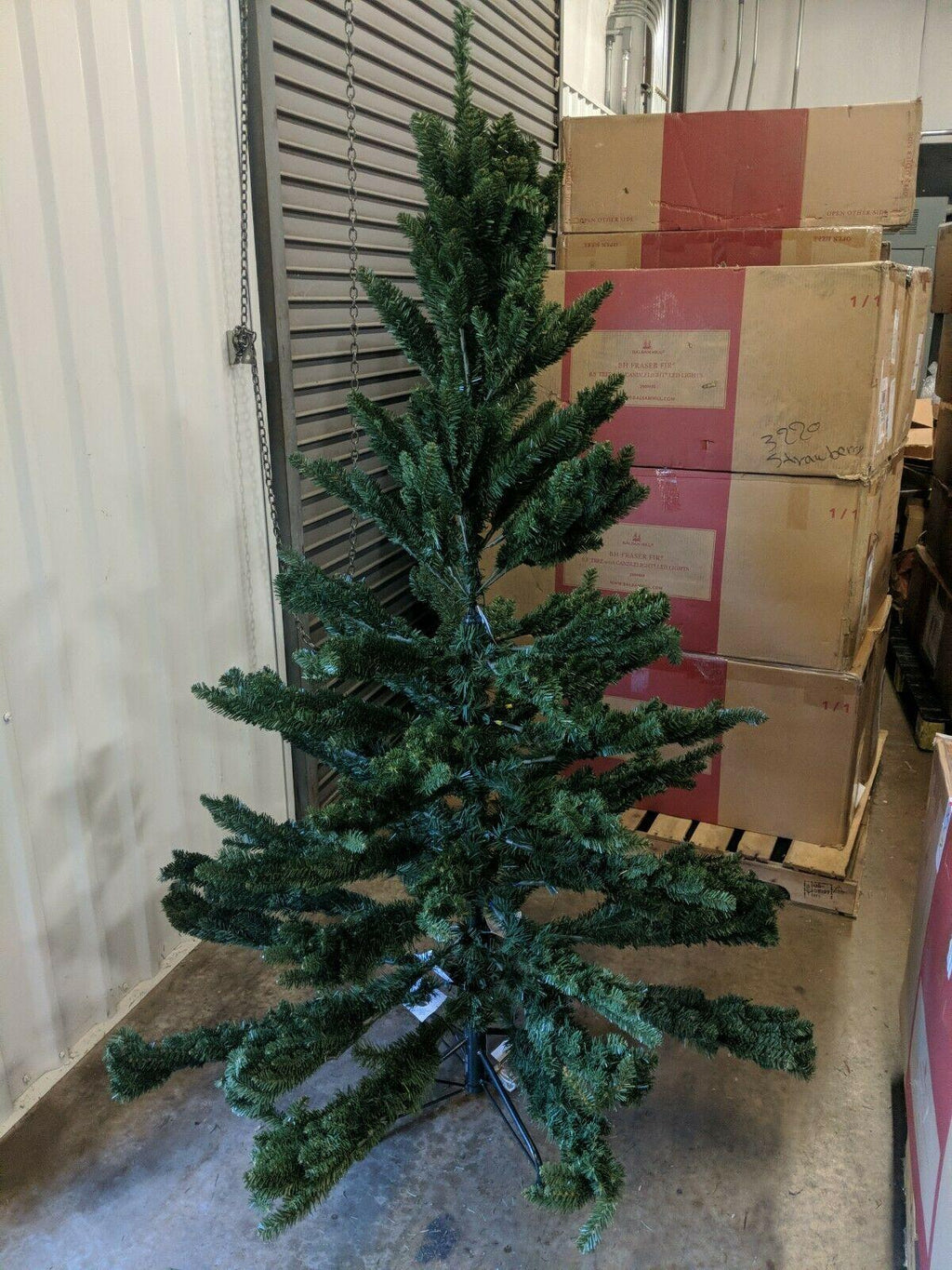 Open Box Balsam Hill Adirondack Spruce 6' Tree Unlit with Stand Christmas Kwanza
