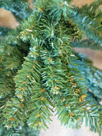 Open Box Balsam Hill Adirondack Spruce 6' Tree Unlit with Stand Christmas Kwanza