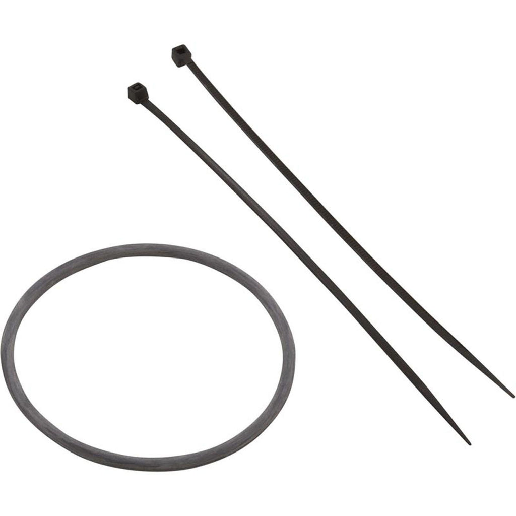 Nature2 Port Sensor, Zodiac Nature2 Fusion, 16 foot, with O-Ring