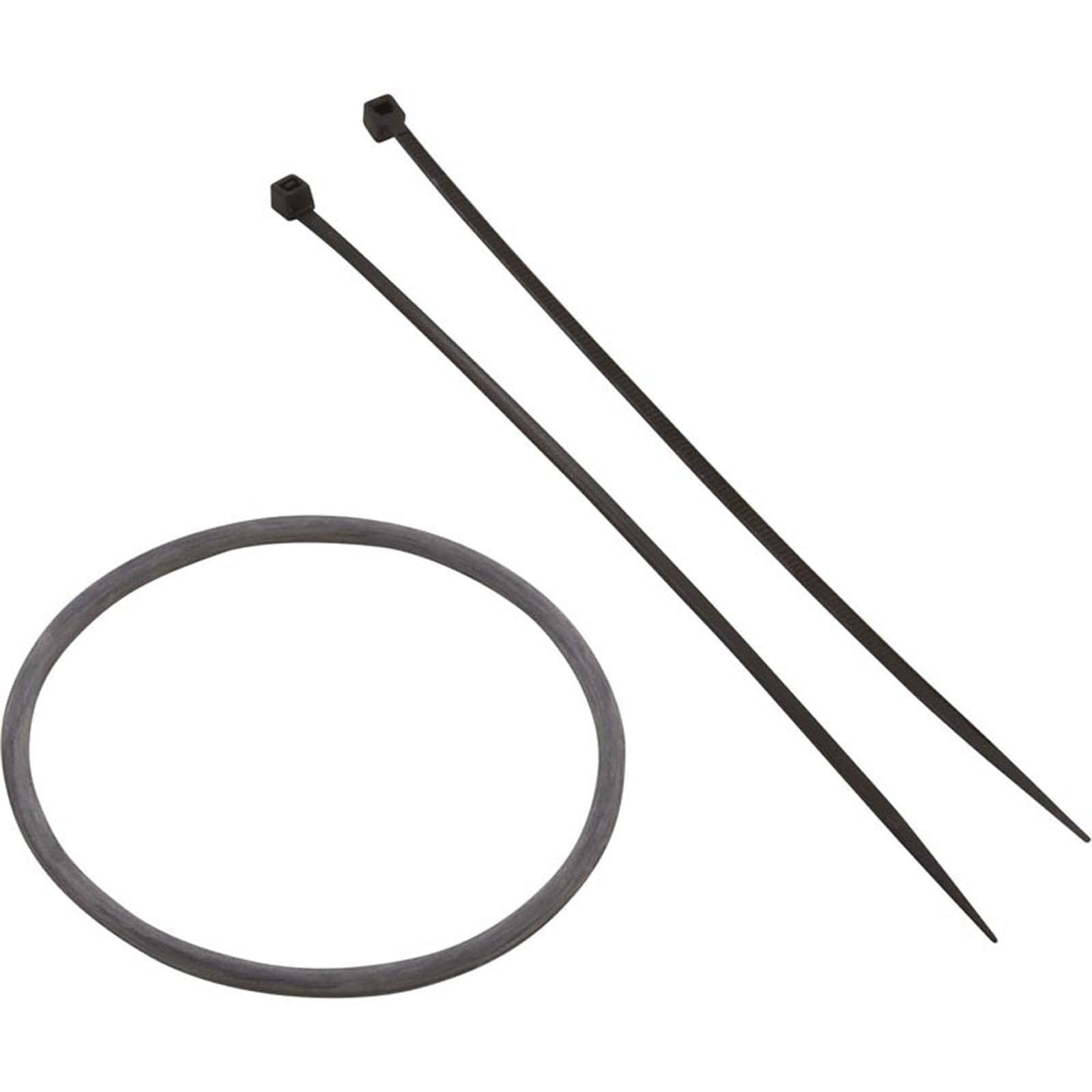 Nature2 Port Sensor, Zodiac Nature2 Fusion, 16 foot, with O-Ring