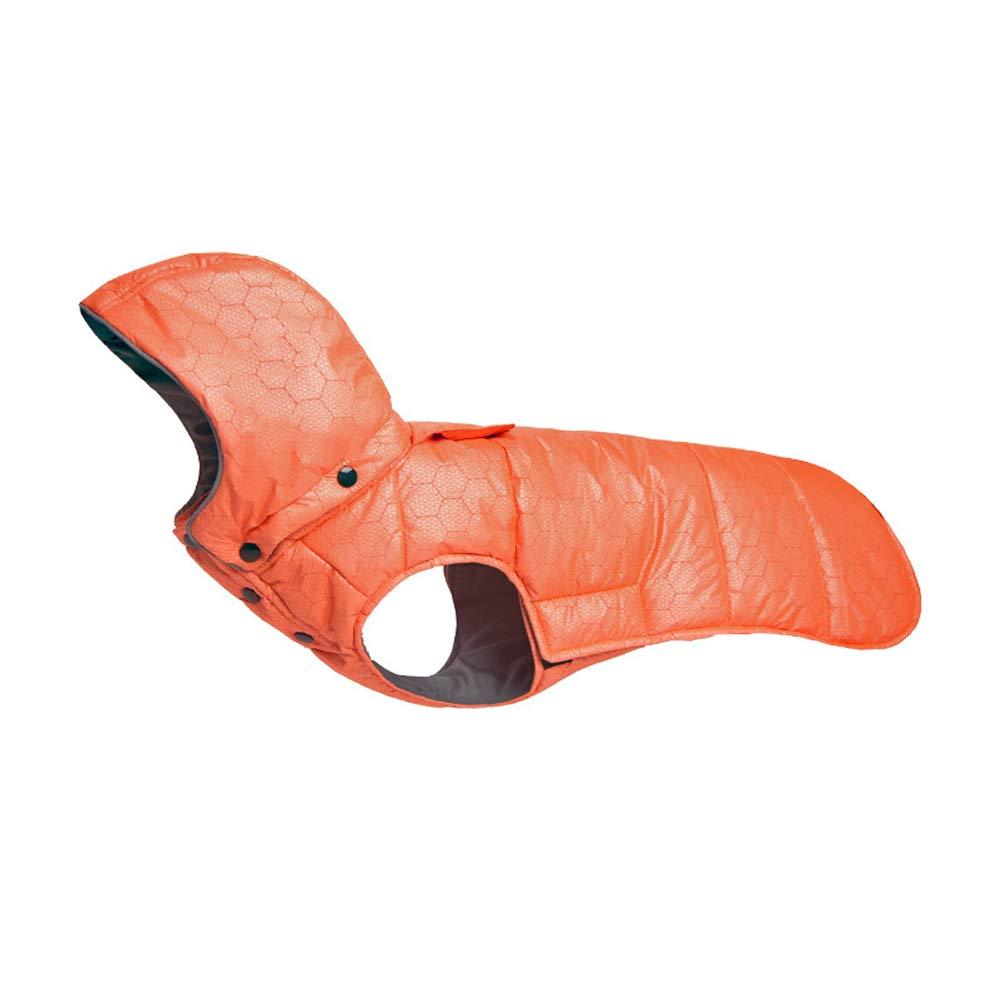 ZXHHL Pet Clothes Outdoor Jacket pet Supplies pet Clothing