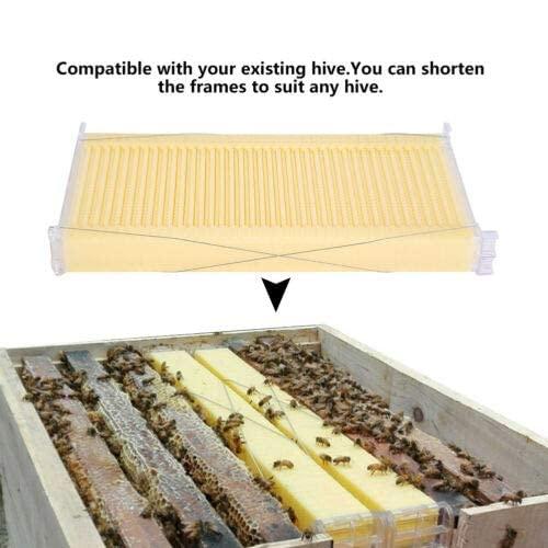 auto flow beehive food grade beekeeping wooden house with 7 automatic honey flow combs for beekeeper starter (bpa free)