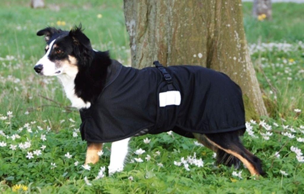 Back On Track Therapeutic Mesh Dog Blanket - Size:30-35" (86 cm) XL Color:Black