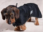 Back On Track Therapeutic Mesh Dog Blanket - Size:30-35" (86 cm) XL Color:Black