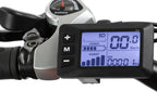 QFX 250W Electric Mountain Bike with  Components &amp; Disc Brakes