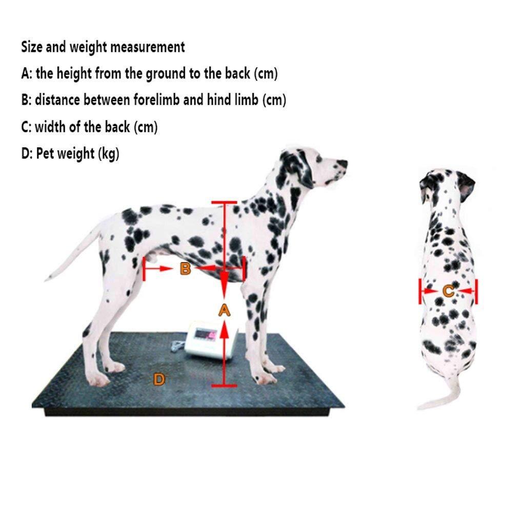 YING XS Size for Small Dog Adjustable  Steel Cart Pet Cat Dog Wheelchair Hind Leg Rehabilitation for Handicapped Dog, 2-Wheel