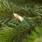 7.5 ft Barbour White Spruce Christmas Tree