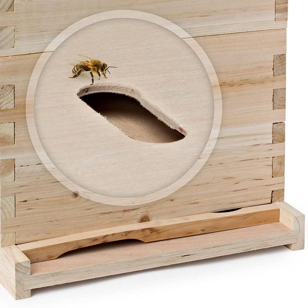 honey keeper beehive 20 frame complete box kit (10 deep and 10 medium) with metal roof for langstroth beekeeping
