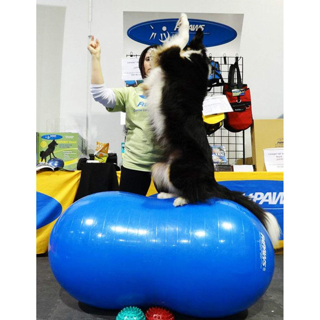 FitPAWS Peanut Stability Ball - for Dogs