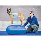 FitPAWS Peanut Stability Ball - for Dogs