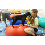 FitPAWS Peanut Stability Ball - for Dogs