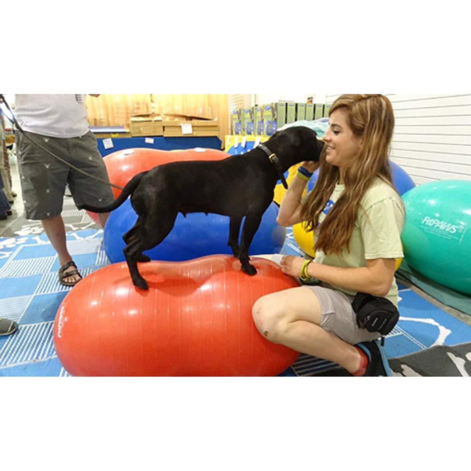 FitPAWS Peanut Stability Ball - for Dogs