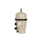 Pentair 160340 Clean and Clear Replacement 320 Square Foot 120 Gallons Per Minute In Ground Swimming Pool Filter Pump Cartridge