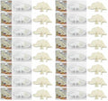 Nylabone Dura Chew Dental Dinosaur Original, Regular, 6 Inch, 48 Pack