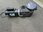 new 3 hp 208-230v swimming pool spa pump motor century # st1302v1