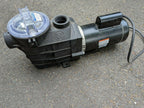 new 3 hp 208-230v swimming pool spa pump motor century # st1302v1