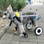 Zouminy Pet Wheelchair, 4-Wheeled Pet Wheelchair Disabled Dog Assisted Walk Car Hind Leg Rehabilitation Auxiliary Car for Dogs Cats
