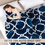 Electric Heated Blanket with Dual Controllers,Queen Size 84x90",ETL Certificated