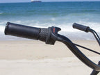 Bruiser , 26", Men's, Three Speed, Matte Black