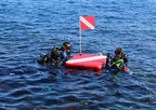 swimline 32434 solstice dive platform