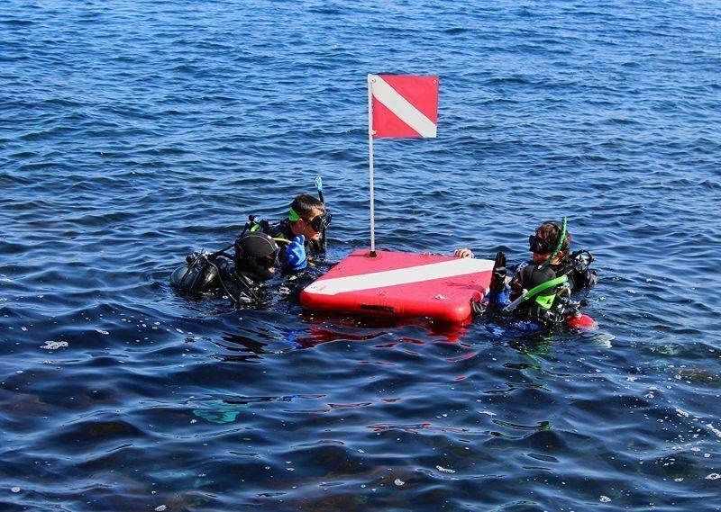 swimline 32434 solstice dive platform