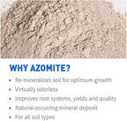 raw supply azomite organic trace mineral powder-67 essential minerals for you &amp; your garden bag, 44 lb