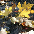 harris pool products deluxe leaf nets for in-ground pools
