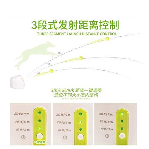 Arshily - Dog pet Toys Tennis Launcher Automatic Throwing Machine pet Ball Throw Device Section Emission with 3 Balls