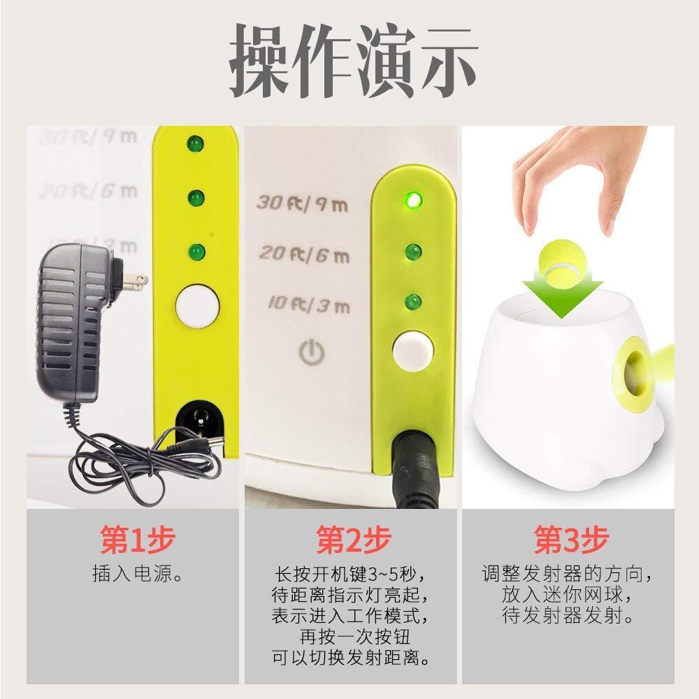 Arshily - Dog pet Toys Tennis Launcher Automatic Throwing Machine pet Ball Throw Device Section Emission with 3 Balls
