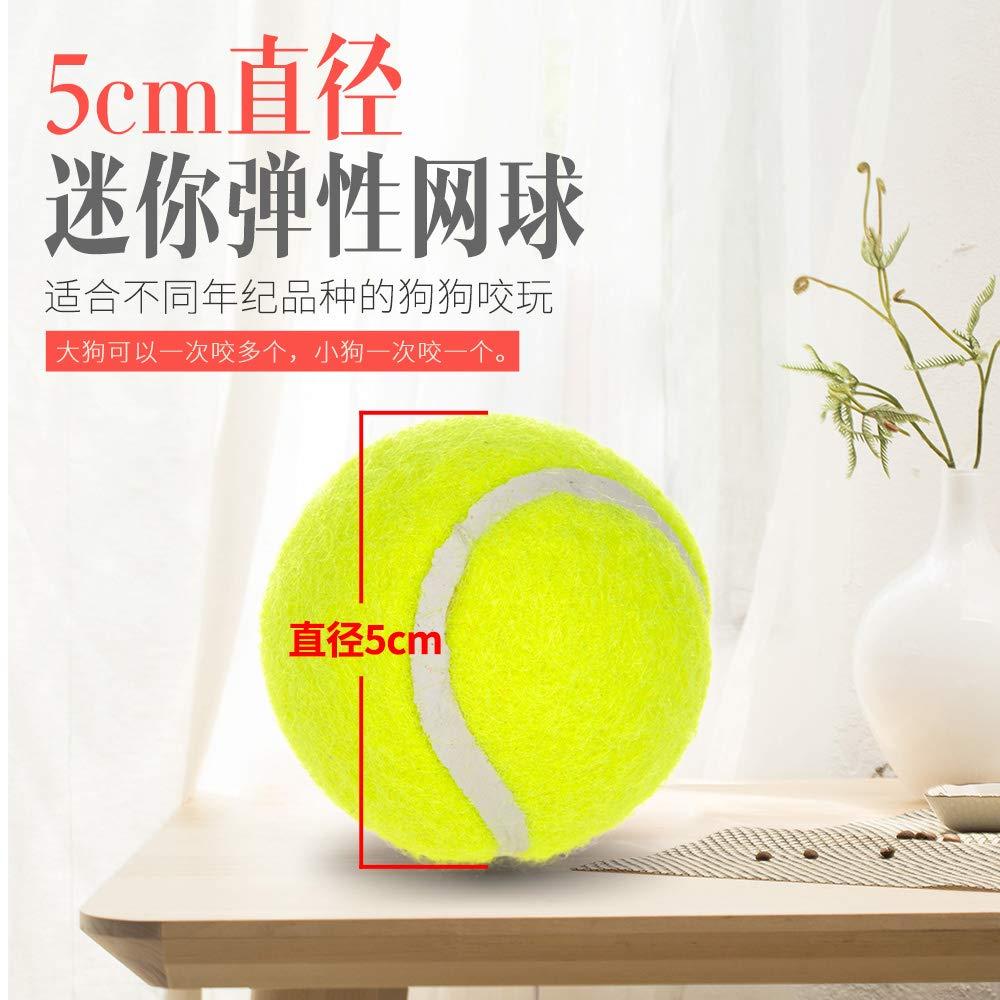 Arshily - Dog pet Toys Tennis Launcher Automatic Throwing Machine pet Ball Throw Device Section Emission with 3 Balls