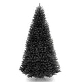 Ergode 9 ft. North Valley Black Spruce Tree
