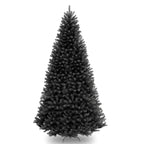 Ergode 9 ft. North Valley Black Spruce Tree