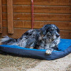 RUFFWEAR - Urban Sprawl