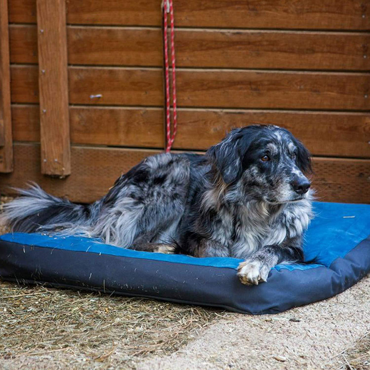 RUFFWEAR - Urban Sprawl