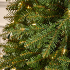 7.5 ft Dunhill Fir Incandescent Christmas Tree