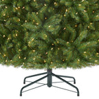 7.5 ft Dunhill Fir Incandescent Christmas Tree