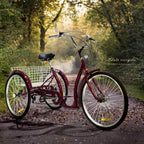 Adult Tricycle Three Wheel Cruiser Bike 6 Speeds 26-Inch Wheel Cargo Basket