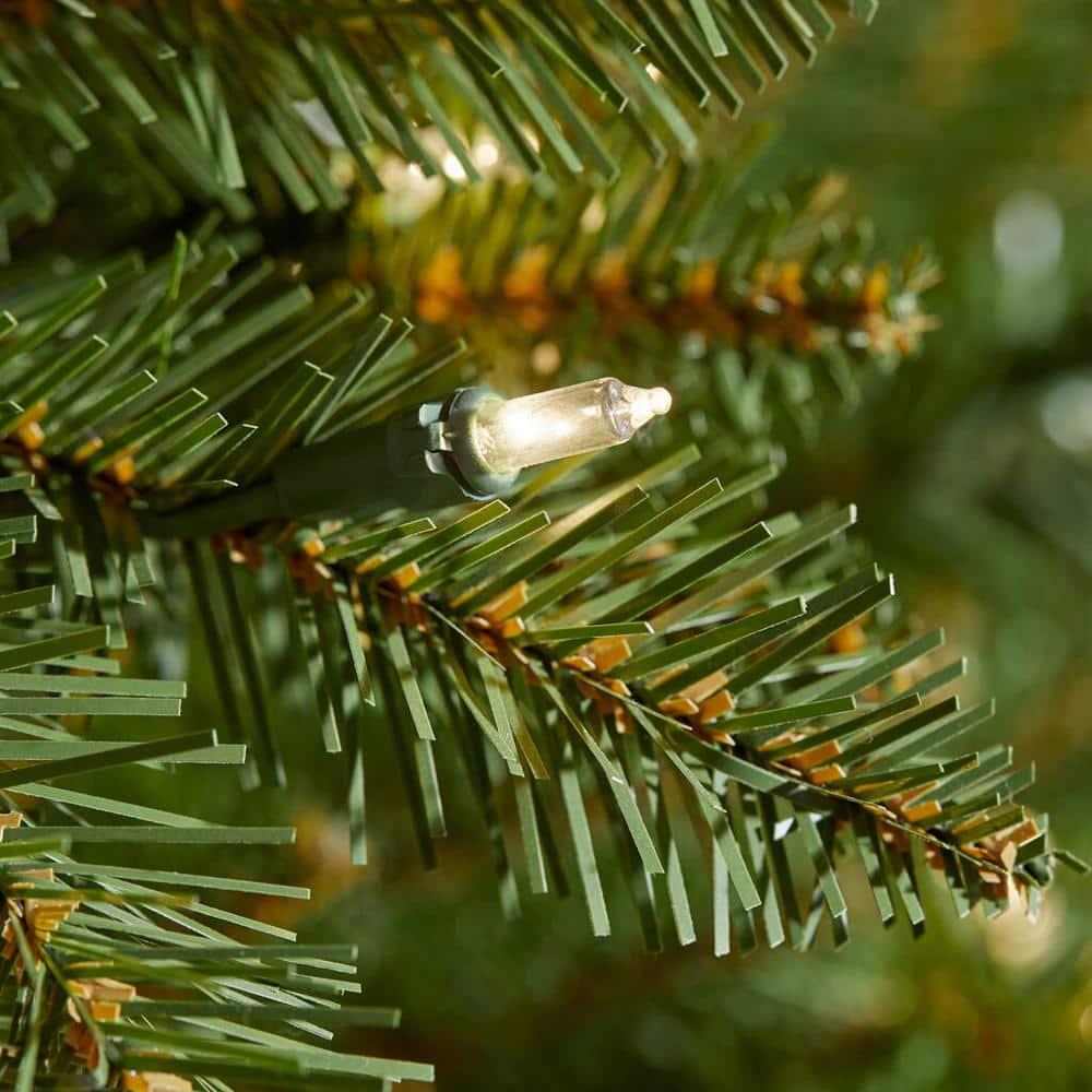 6.5 ft Dunhill Fir Incandescent Christmas Tree