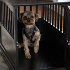 Newport Dog Crate Kennel CaBed Night Stand End Table Furniture Cave House Room LarSize/Black.